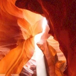 Wallpaper Mural. New.